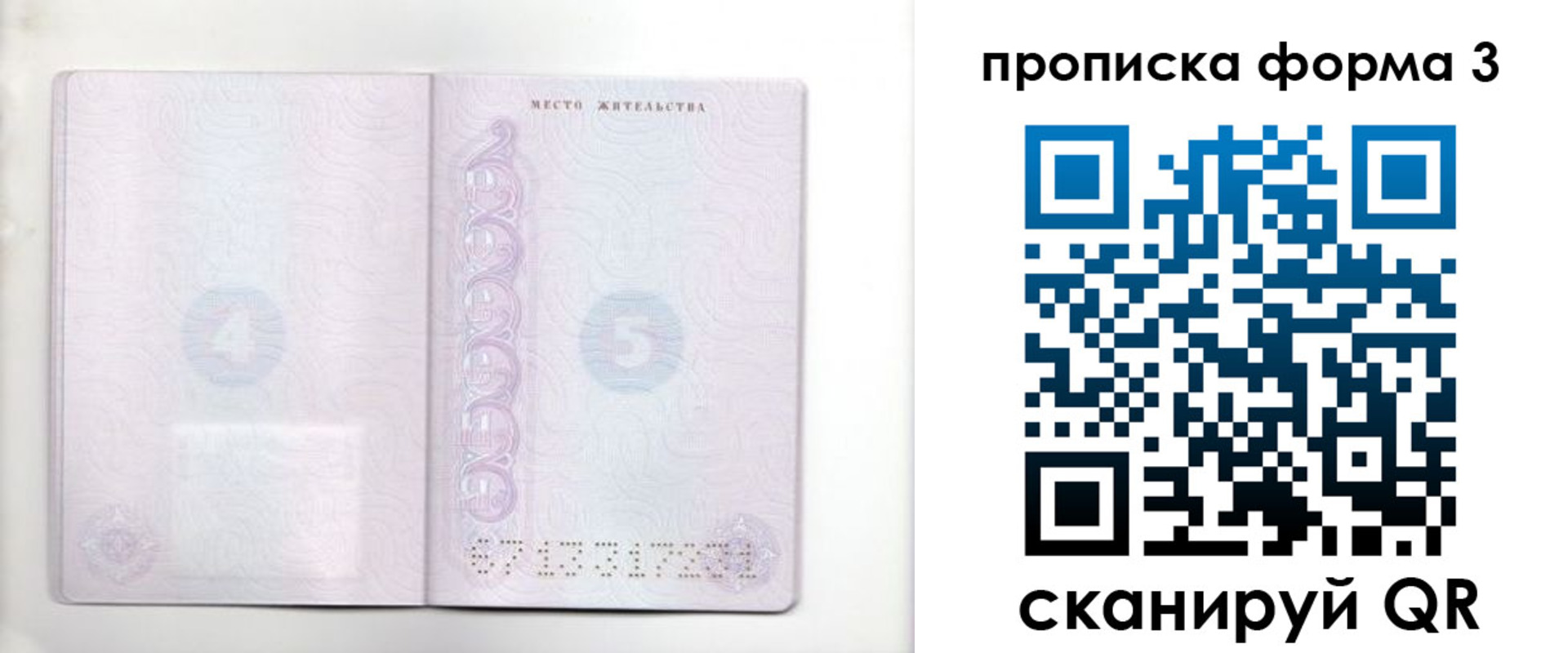 прописка гарантия в Кингисеппе